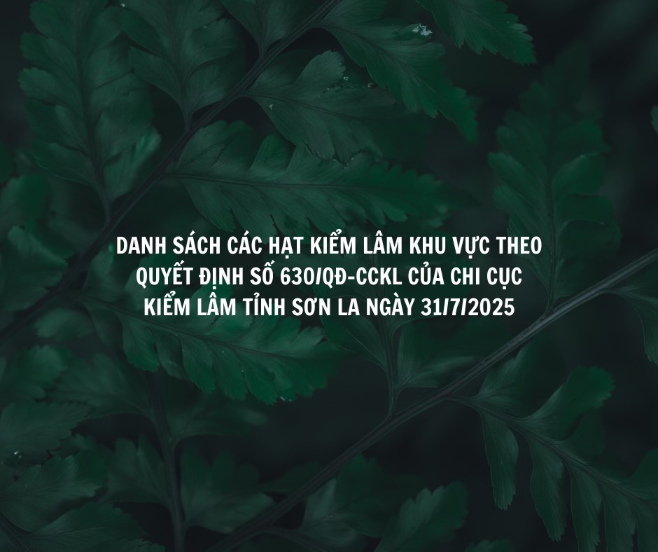 DANH SÁCH CÁC HẠT KIỂM LÂM VÙNG TỪ NGÀY 01/8/2025