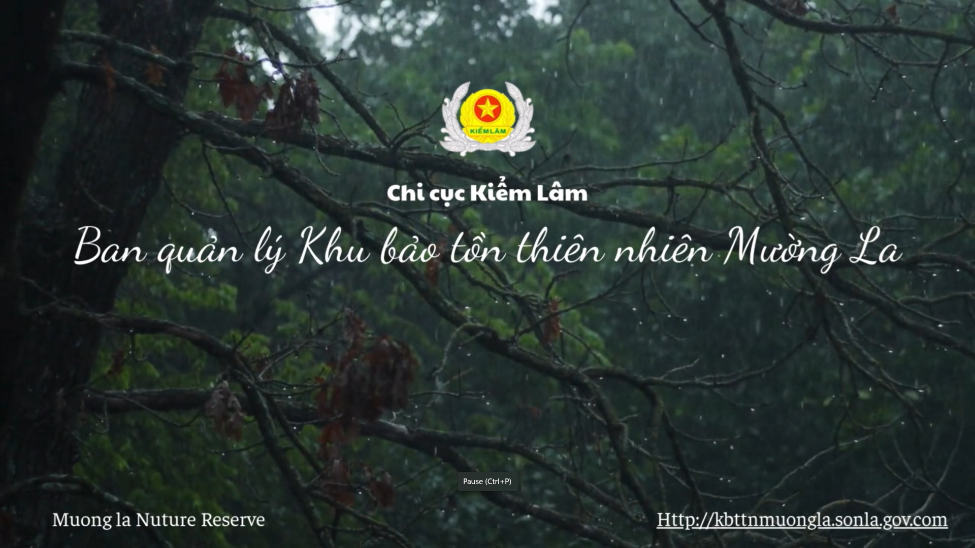 Mùa mưa tại Khu bảo tồn thiên nhiên Mường La