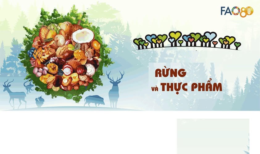 Hợp tác Quảng cáo