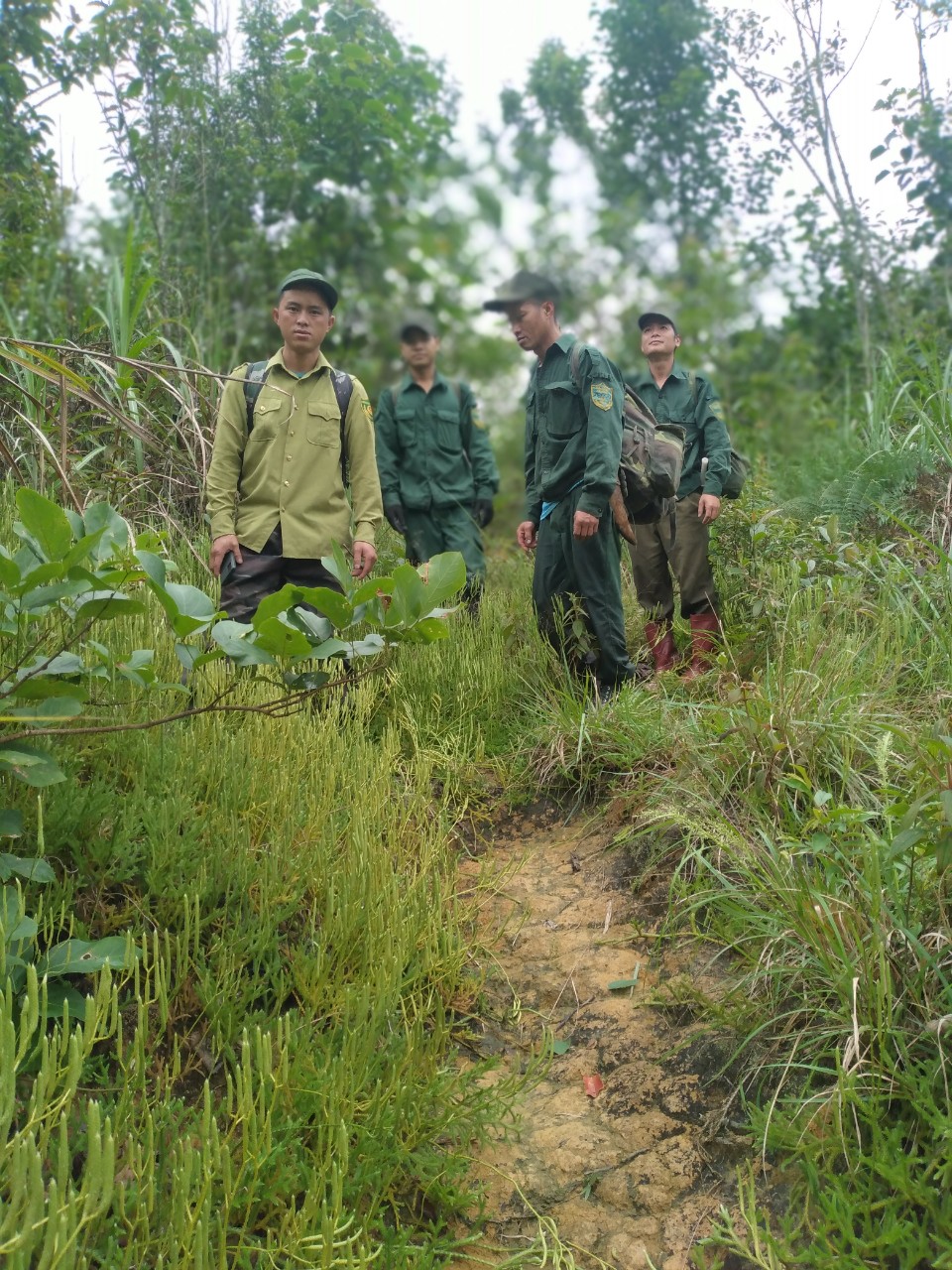 Chi cục Kiểm lâm Sơn La: Tăng cường công tác bảo vệ và phát triển rừng