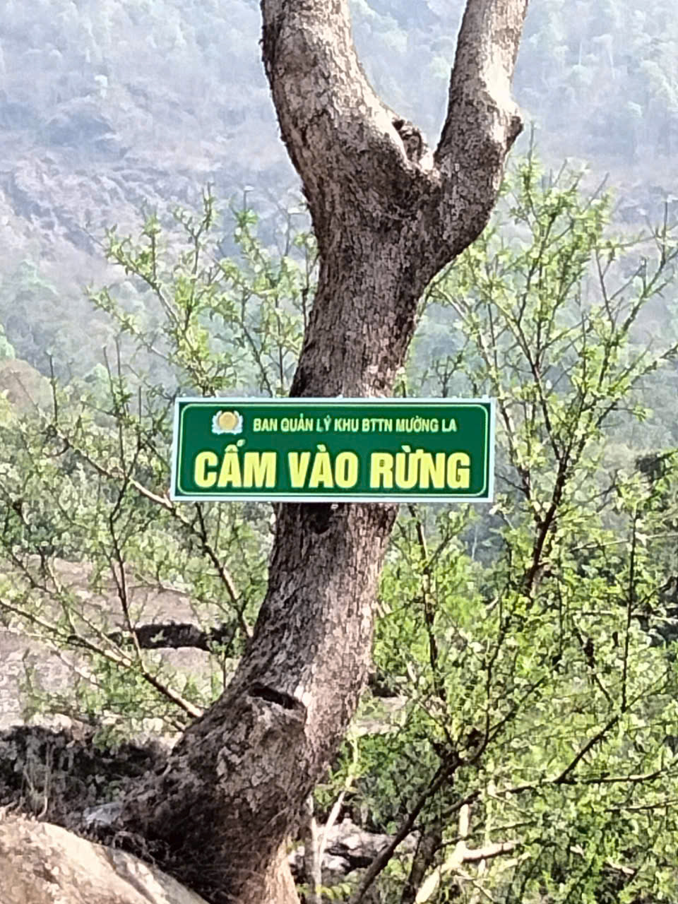 Ban quản lý Khu bảo tồn thiên nhiên Mường La tổ chức cắm biển cấm vào rừng để khuyến cáo người dân