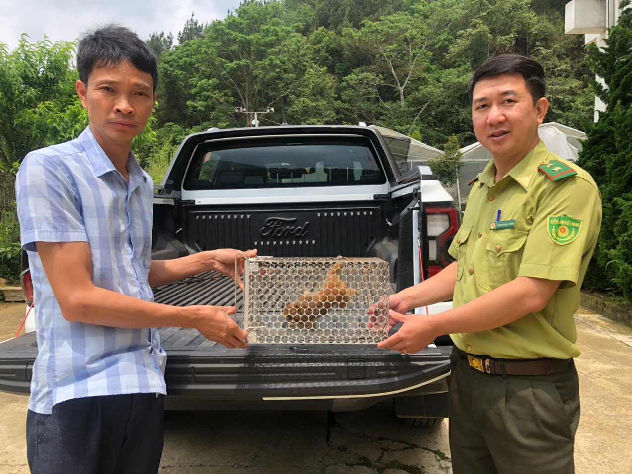   Ban quản lý khu bảo tồn thiên nhiên Mường La tiếp nhận loài động vật quý hiếm nhóm IB